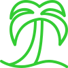 Symbol einer Palme